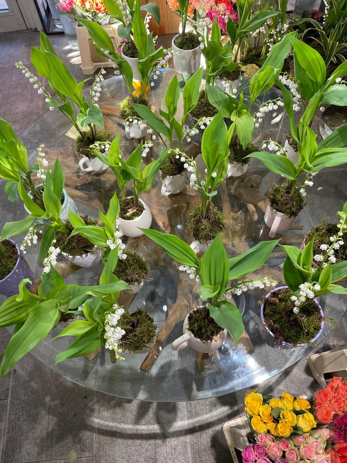 Muguet du 1er mai Fleurs d'Émile