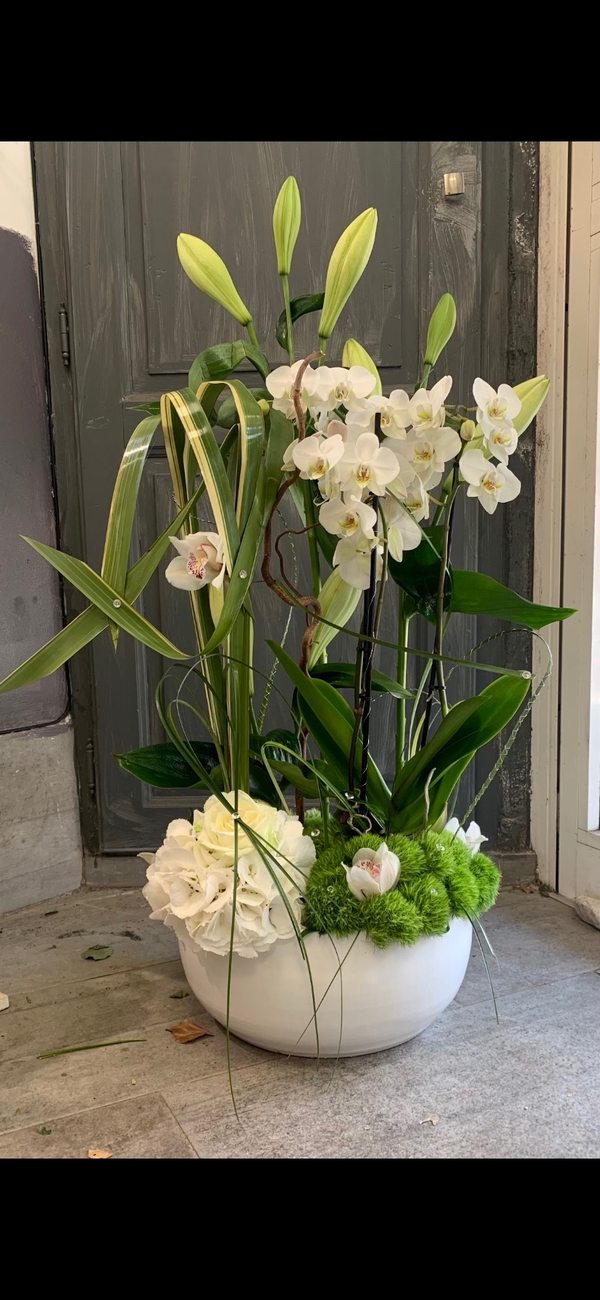 Orchidée Fleurs d'Émile Pégomas