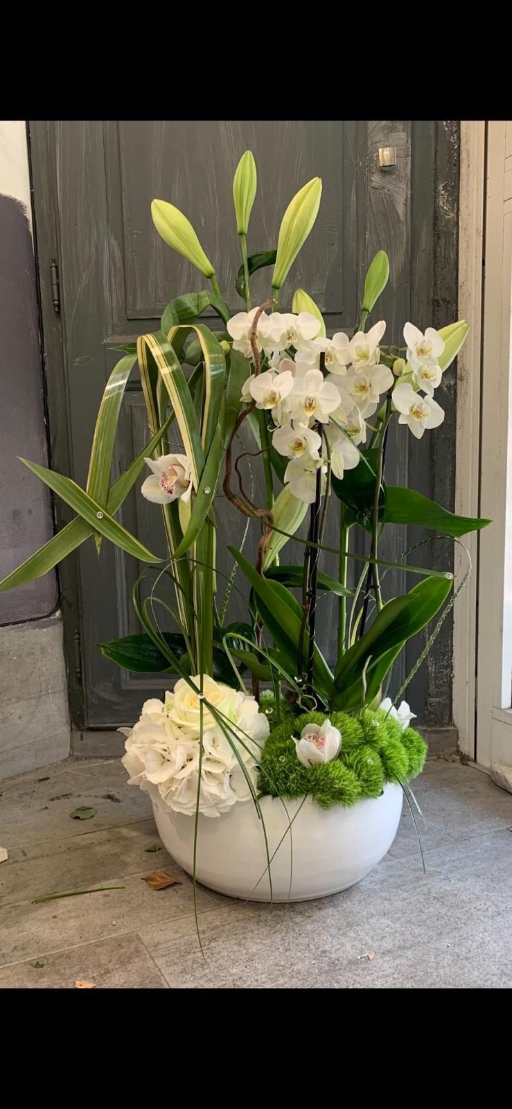 Orchidée Fleurs d'Émile Pégomas