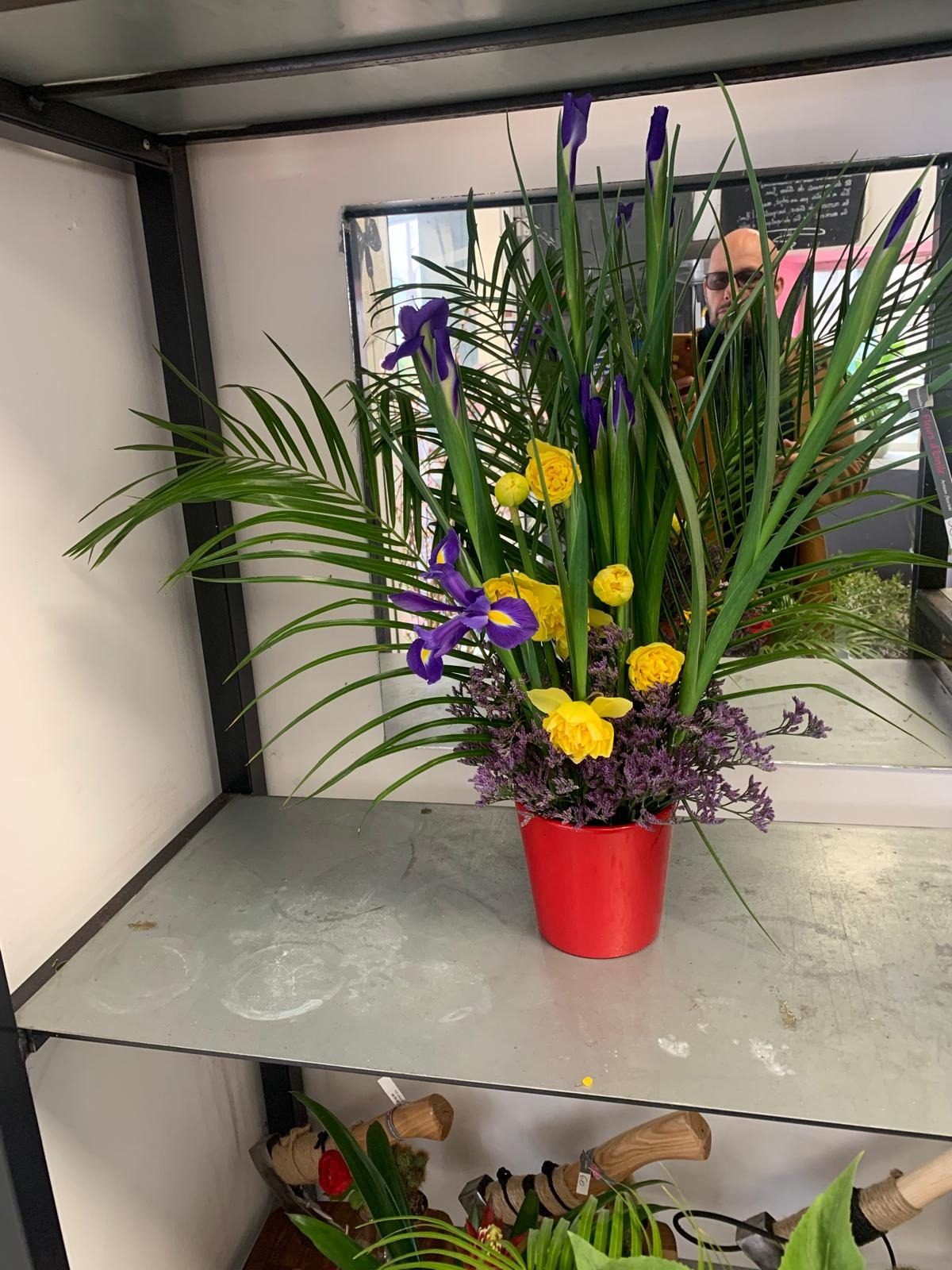 Plante d'intérieur