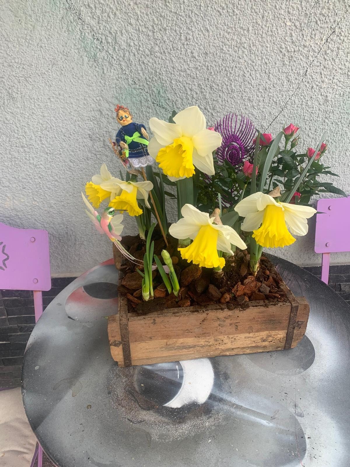 Composition de plantes