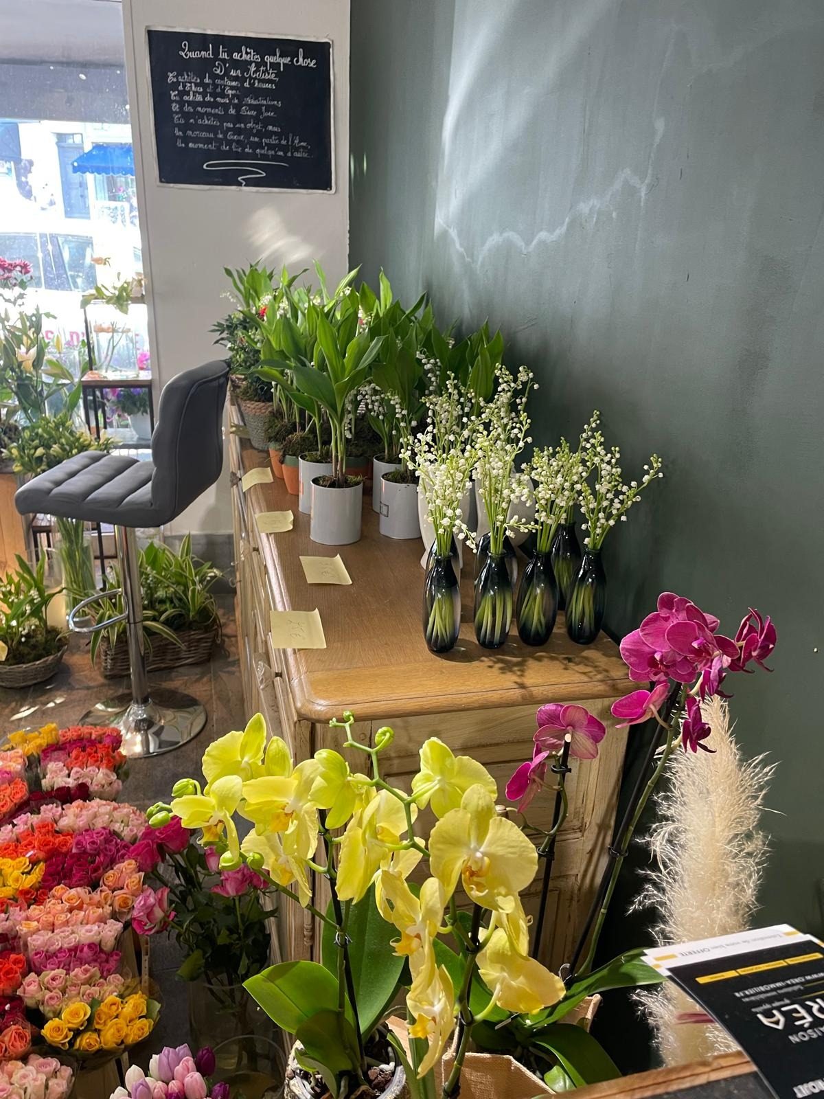 Orchidée Fleurs d'Émile Pégomas