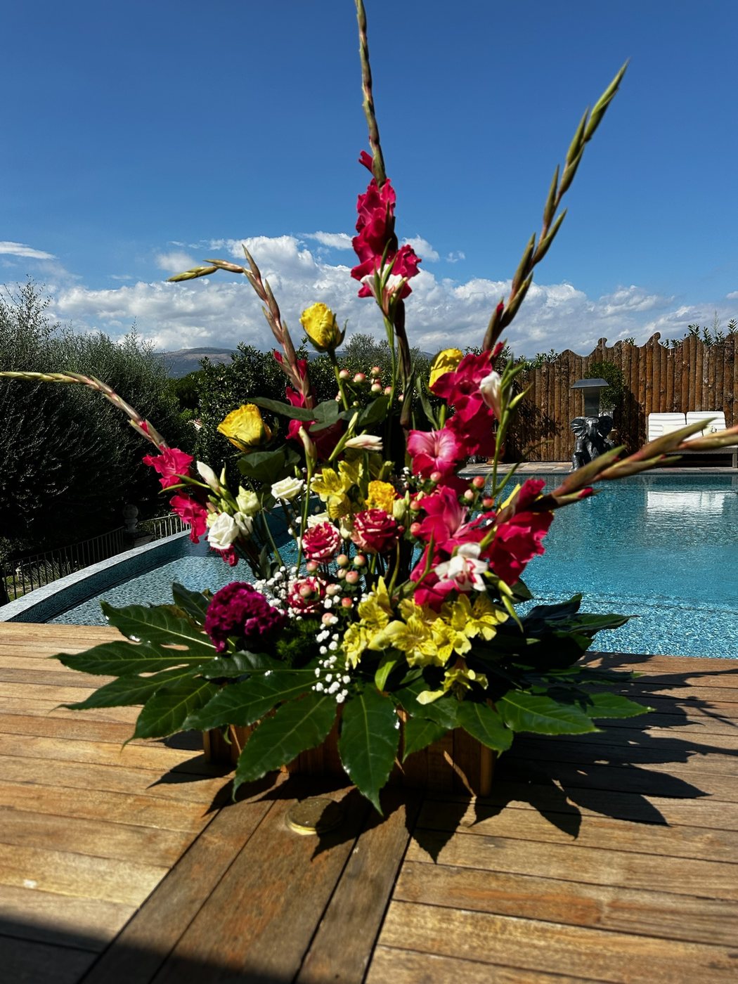 Composition au bord de la piscine