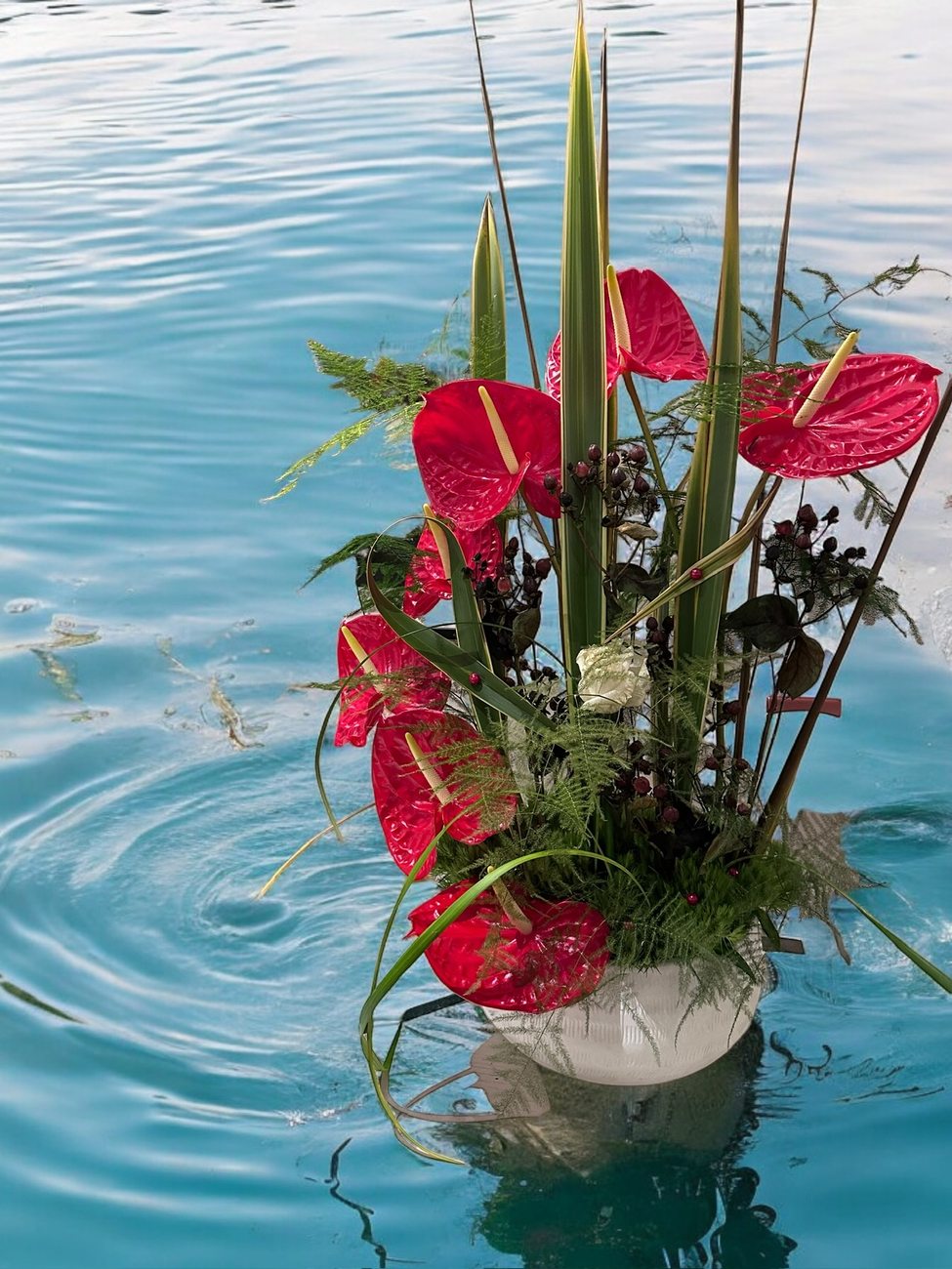 Anthurium by the pool